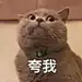 yzPvvbpN