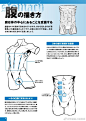 充满魅力的男体肌肉画法教程，转需手残党！学画画进步缓慢没有方向？戳：°学