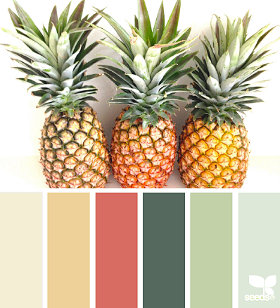 pineapple hues