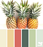 pineapple hues