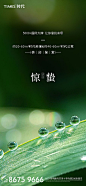 惊蛰节气海报