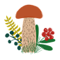 蘑菇插画 PNG免抠图