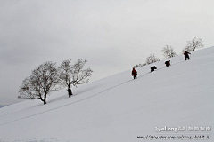 ericsnow采集到雪乡、雪山、雪墨风情, 