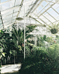 i could honestly live in this greenhouse  just made a 500px account, follow me on there if u have one!