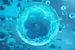 3d. 在蓝色背景下绘制人体或动物细胞。概念早期胚胎医学的科学概念、干细胞研究与治疗.