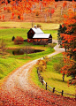 秋天，枫叶铺满了小径，这是位于美国东北部的伍德斯托克小镇，犹如置身于童话世界中。