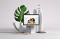 Squarespace - Still life on Behance