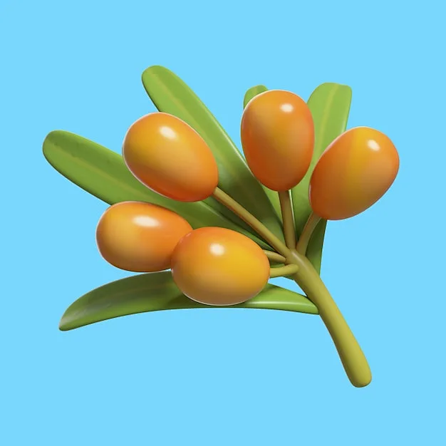 Berry 的 3D 渲染-花瓣网