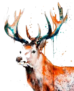 水彩手绘梦幻麋鹿小鹿免扣PNG透明背景图片 (112)
