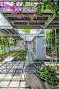 蒙特梭利花园，亲自然的教育空间 / HGAA – mooool木藕设计网