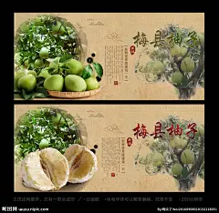 柚子 柚子海报 柚子展架 甜柚 沙田柚 柚子广告 红心柚子 新鲜柚子 柚子种植 柚子包装 柚子基地 柚子展板 柚子批发 水果 水果海报 水果展架 水果店海报 水果店展架 水果超市 水果柚子 水果创意 水果广告 水果挂画 水果店 创意水果 水果店展板 水果画册 有机水果 水果背景 水果批发 新鲜水果