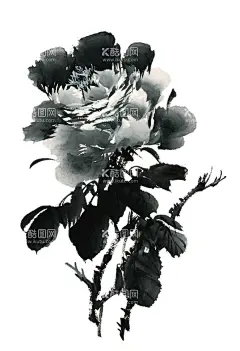 百花争艳    - 源文件下载【酷图网】百花争艳,国画百花争艳,国画,花鸟画,花,水墨画,花朵,红花,手绘花朵,手绘花,水墨画花,抽象花,工笔画,月季,牡丹,水墨荷花,