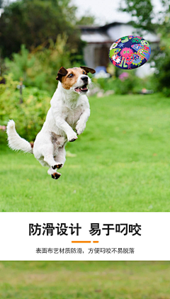 Issen采集到宠物