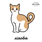 xiaoba (7)