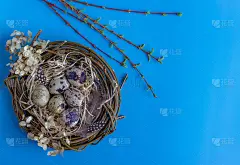 复活节构图以巢中鹌鹑蛋、各种羽毛、蓝色背景上的春天小树枝为背景。贺卡。平的。文本复制空间