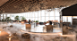 Seesaw-Coffee-wood-interior-9