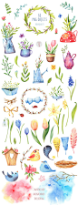 春季水彩花卉鸟类小清新纹理图案设计素材 JPG+PSD格式 (5)