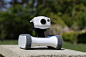 Riley-Wi-Fi-Home-Monitoring-Robot-01