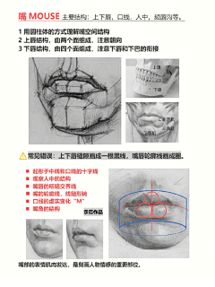 涡来守狐采集到嘴