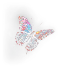 Realistic Butterfly Overlay_Walllow_14