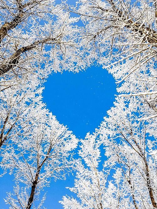 Winters heart. Love ...