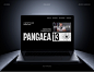 landing page digital Procreate brand identity design visual identity marketing   designer graphic uxui