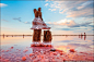 克里米亚半岛位于黑海和亚速海之间，乌克兰的南部。在乌克兰有我们最为熟悉的玻利维亚的乌尤尼盐湖，被称作天空之境。克里米亚的锡瓦什湖却有着更为壮观的盐湖景观，是世间罕见的粉红色盐湖。

　　克里米亚近月来成为国际新闻常见的名字，其历史背景亦为更多人所认识，而这湖在地理上亦是作为乌克兰与克里米亚的分界线，值得了解一下。据Wiki︰“锡瓦什湖非常浅，最深的地方也不过3米，大部分水体深度在0.5米到1米之间，湖底有厚达5米的淤泥。由于水浅加上夏天炎热，锡瓦什湖经常散发出腐败的气味，也因此而得名‘腐海’，同时海水大量
