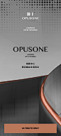 opusone