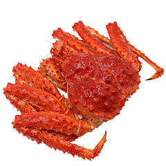 葉允采集到海鲜素材