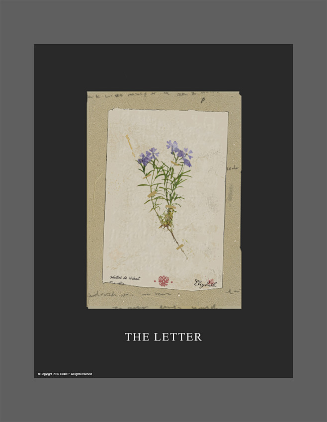 【PFRD】THE LETTER