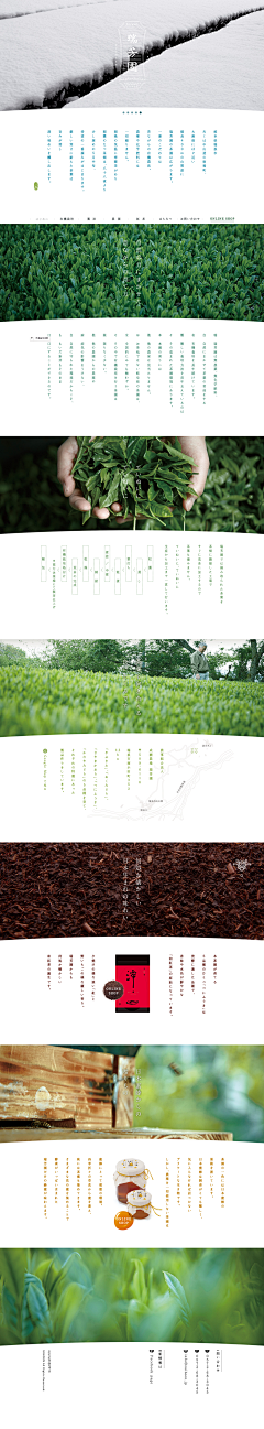 删子采集到茶叶