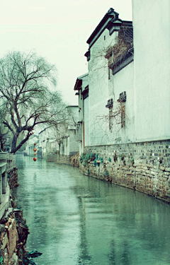 忒啾`采集到境，景