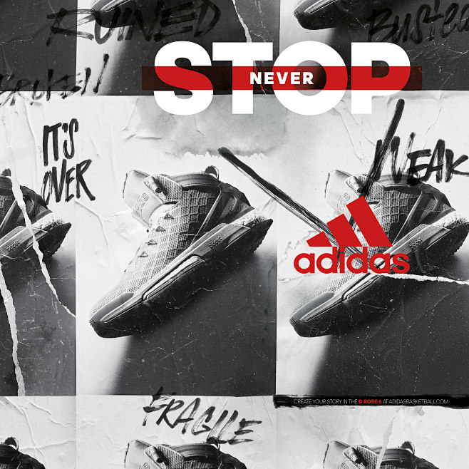 D Rose 6 : Campaign ...