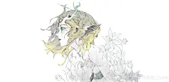 万年后的情书 ​... - @鱼壳_Yuke的微博 - 微博