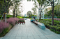 Landscape of Jining Cultural Center Phase I, China by LDG Lansikaipu : Harmony and symbiosis, organic stitching
