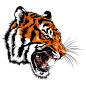 874789老虎 Tiger-1