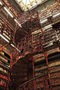 世界上最美的图书馆——荷兰海牙Handelingenkamer