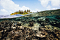 Below The Breaking Wave : Underwater photography, captured below the waves, surf fine ocean photography captured in the Indian ocean South Atolls The Maldives 