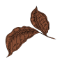 简约手绘线条咖啡豆叶子装饰免抠PNG图案 印刷AI矢量 (72)