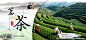 茶叶banner