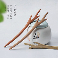 星辉-邵采集到簪子