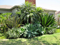 rainforest garden | He loved how the flowers on this house spilled across the roof. 