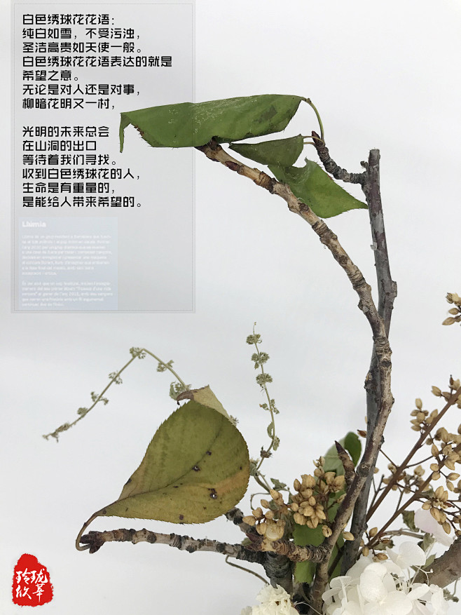 玲珑欣莘艺术插花作品：凛.若旒

插花花...