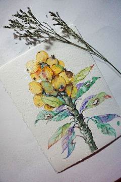 瓣黎采集到插画