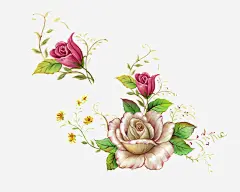 玫瑰矢量素材_新图网 https://ixintu.com 玫瑰 白玫瑰 鲜花 花草 矢量素材 花朵