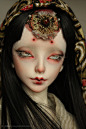 AS 鸿历 : Explore Kingnut photos on Flickr. Kingnut has uploaded 865 photos to Flickr.