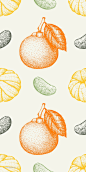 手绘素描柑橘类水果矢量无缝纹理 (6)