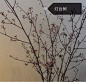 150种常见植物及花卉，你认识几个？ : 150种常见植物及花卉，你认识几个？