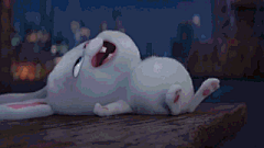 众星捧洋洋-采集到GIF-