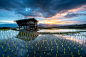 Photograph Rice Terraces of the Thailand by sarawut Intarob on 500px